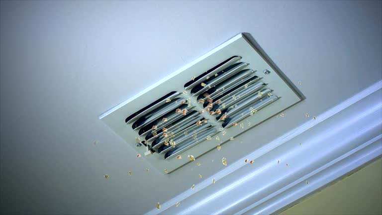 Best Duct Cleaning for Offices  in Country Clu, CA